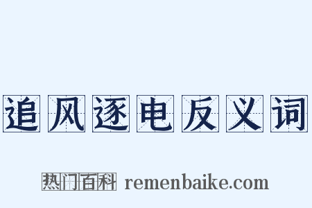 追风逐电反义词是什么意思的图片